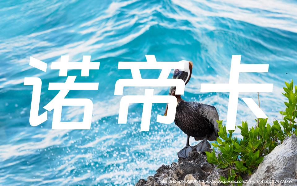 诺帝卡