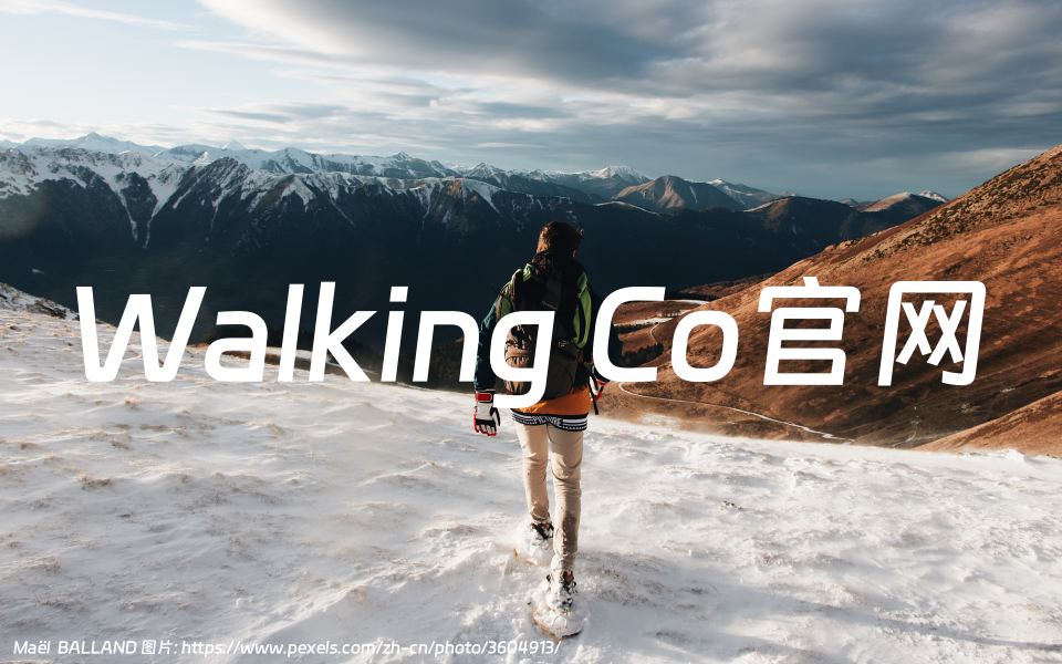 thewalkingcompany.com