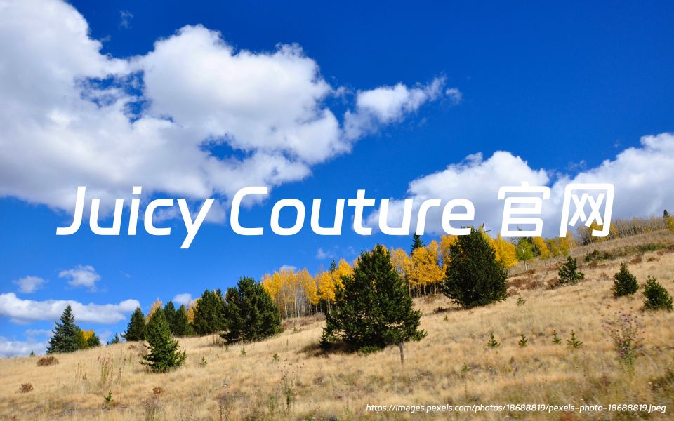 Juicy Couture官网：来自美国的时尚品牌，20%优惠，附海淘详细攻略