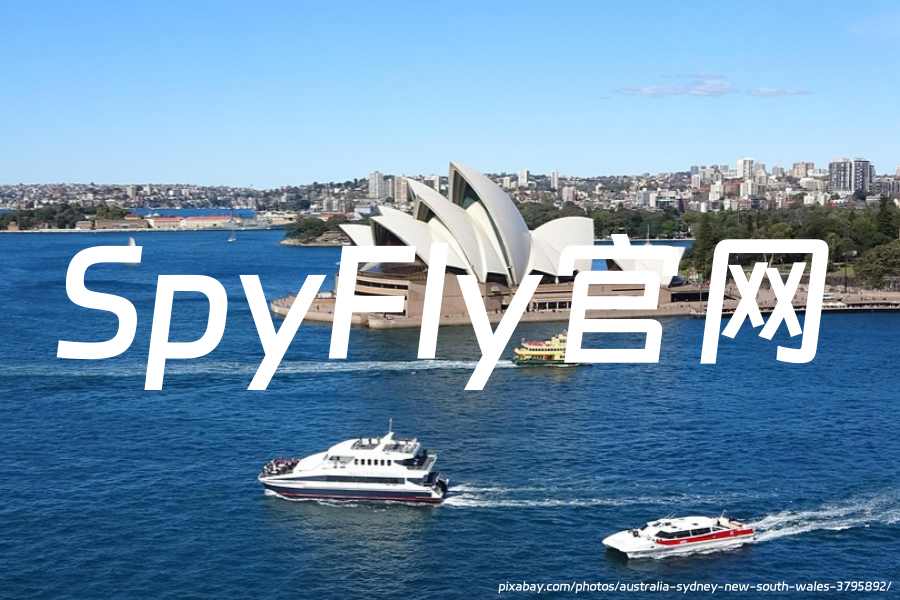SpyFly官网：一家提供公共记录查询和背景调查服务的网站