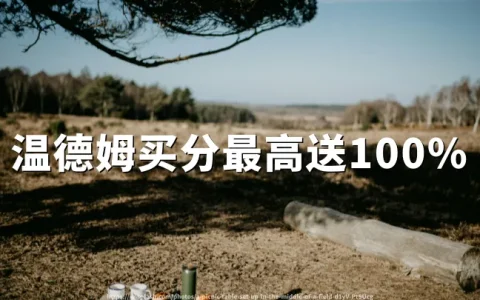 温德姆奖赏计划：购买积分最高享100%加赠，截至2026年07月03日